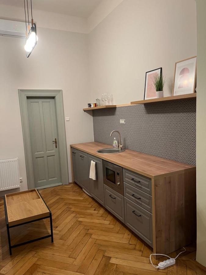Barty Downtown Apart 1 Timisoara Exterior foto